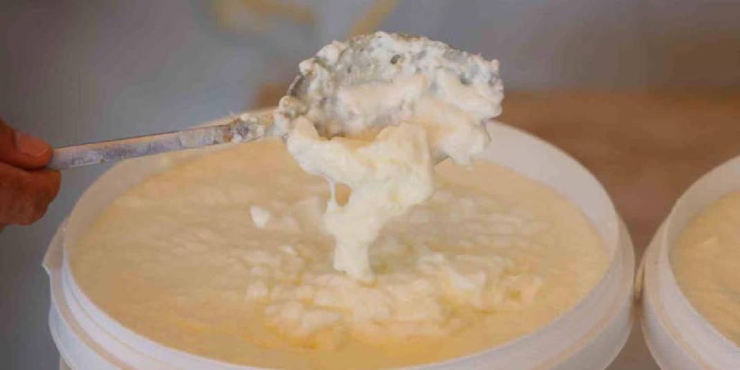 Hem yazın hem kışın tüketiliyor, tescilin hakkını veriyor! Üretimde son günler: Siparişleri yetiştirmeye çalışıyorlar 5